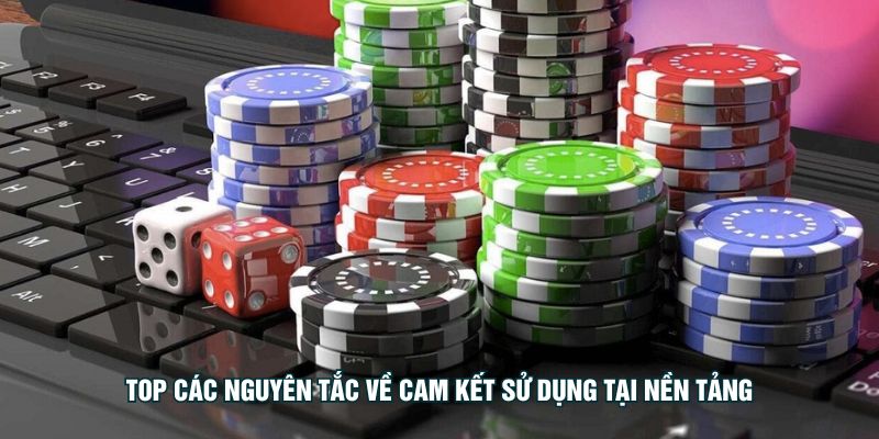 top-cac-nguyen-tac-ve-cam-ket-su-dung-tai-nen-tang